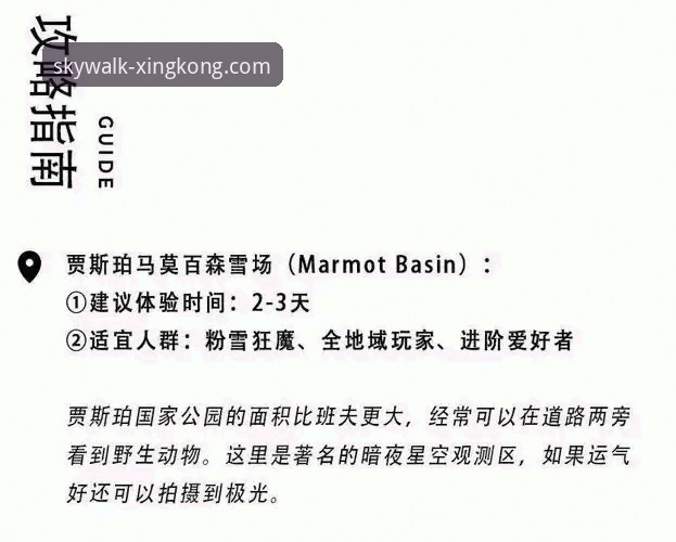 星空APP官方正版 星空娱乐平台官方正版解析:从下载到体验的完整指南