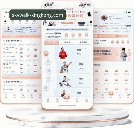 星空体育官网究竟有何魅力？资深用户带你一探究竟