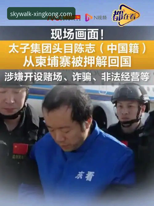 从“金元帝国”到庭审现场：一位行业观察者的深度复盘与思考