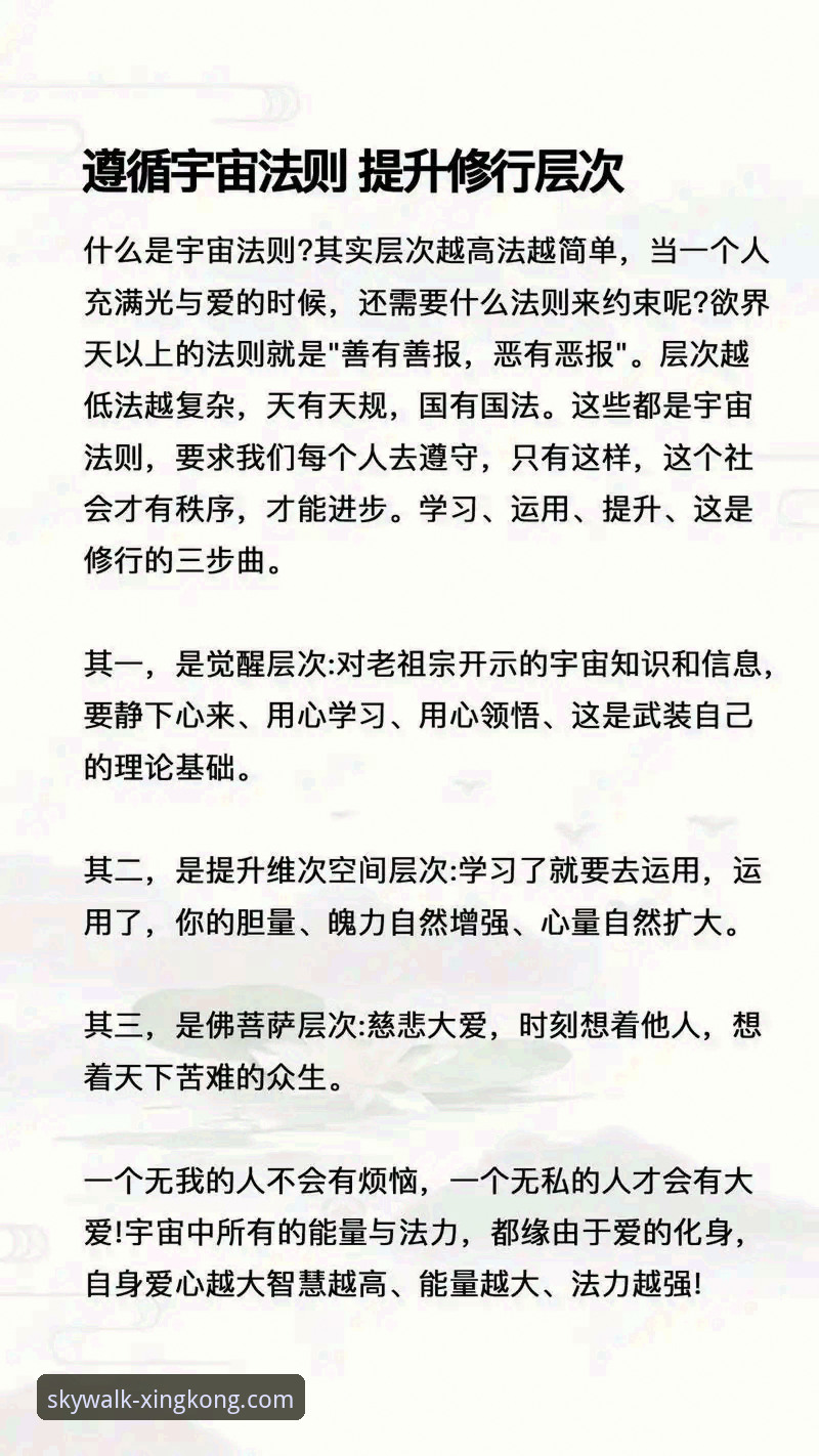 掌握星空APP安卓版：3个核心功能详解与5步高效使用指南